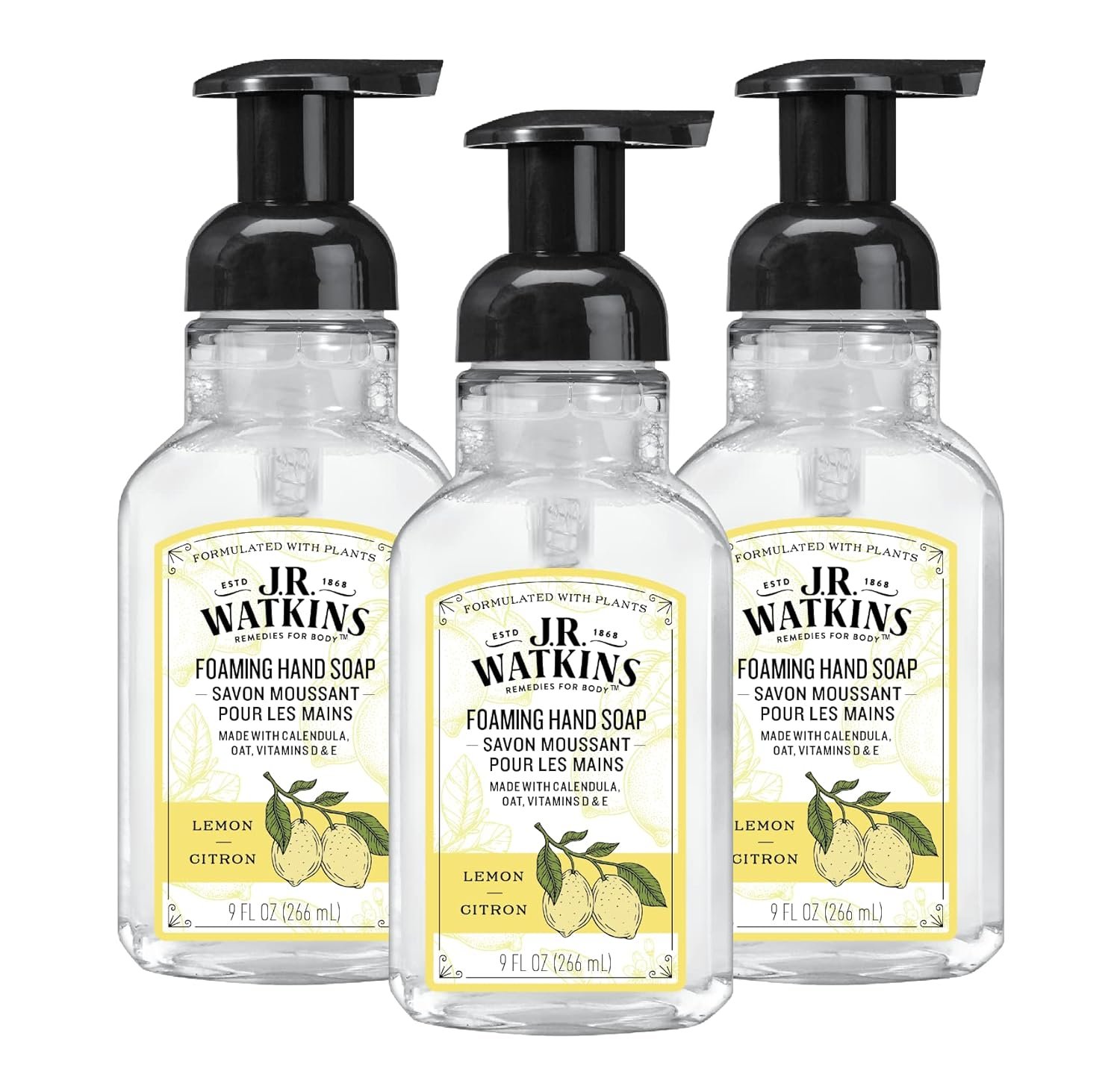 j.r. watkins foaming hand soap with pump dispenser j.r. watkins foaming hand soap with pump dispenser